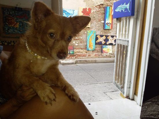 Galeria Arte Getsemani